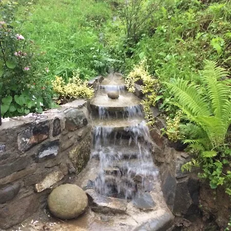 Edelweiss Lazeshchyna